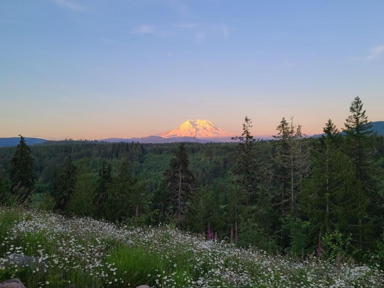 Stunning Mt Rainier Views!Tahoma Ridge Cottage Eatonville Exterior foto